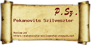 Pekanovits Szilveszter névjegykártya